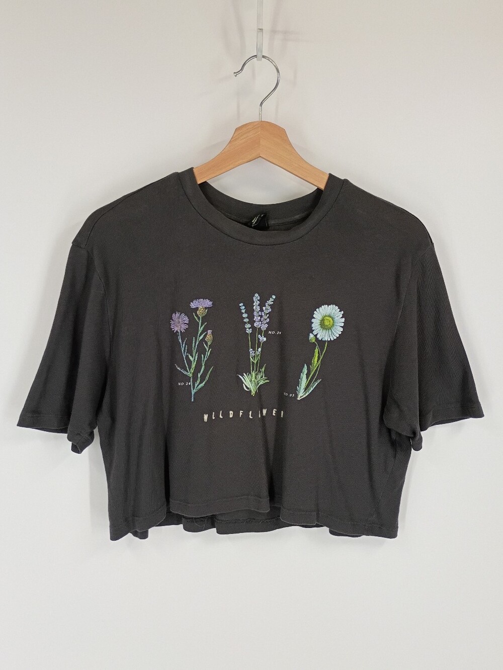 Urban Outfitters Cropped Graphic Tee